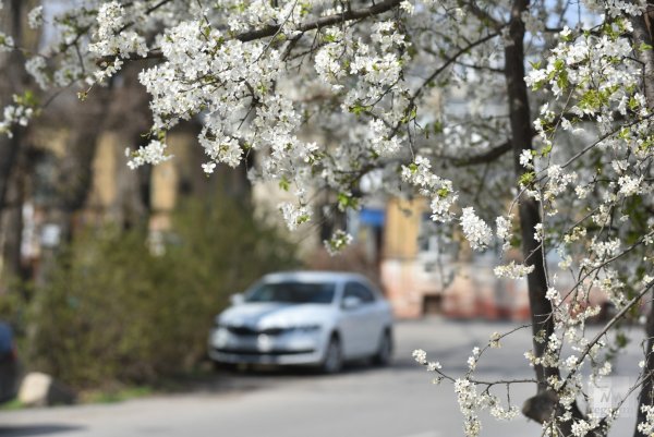 Пятигорск Весна фото