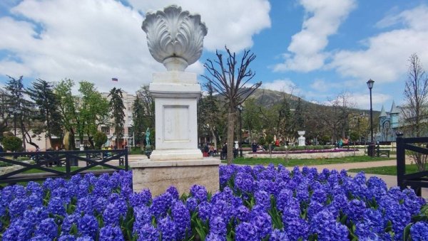 Цветник Пятигорск тюльпаны 2022