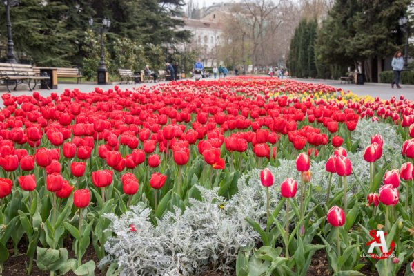 Гора Машук Минеральные воды