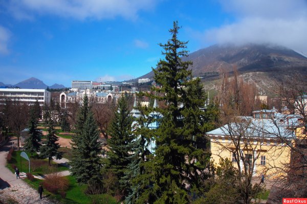 Тюльпаны Севастополь