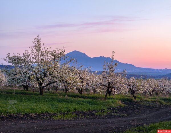 Парк цветник Пятигорск