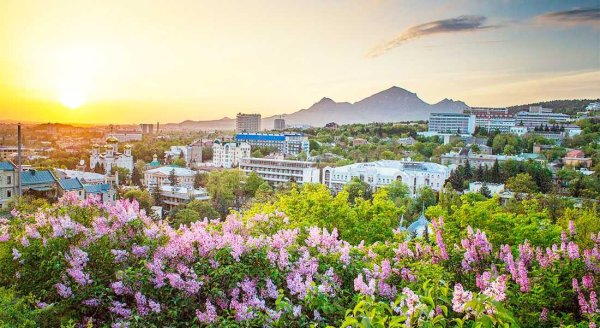 Пятигорск Машук лес