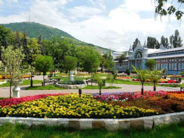 Пятигорск парк цветник клумба