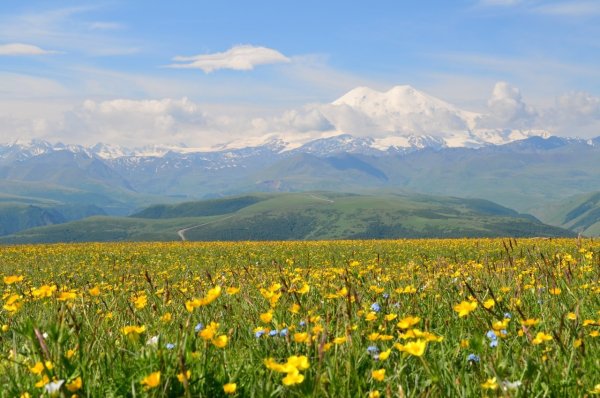 Пятигорск весной горы в цветах