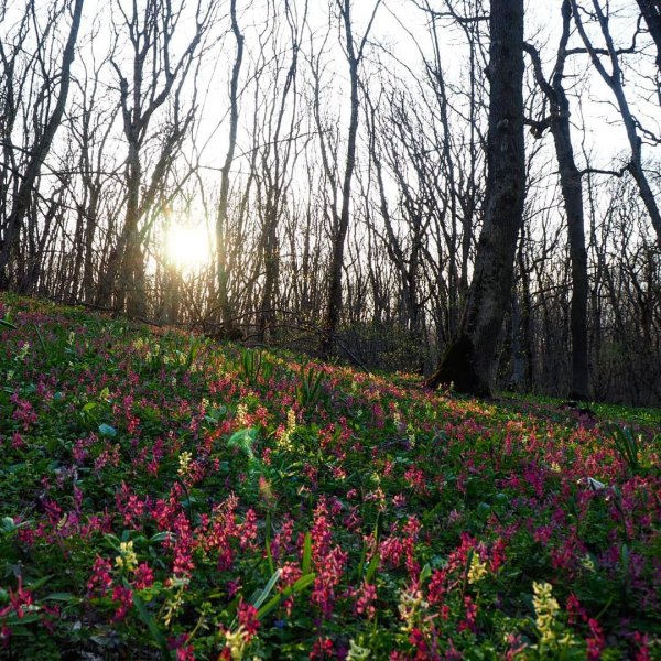 Кавминводы Сочи