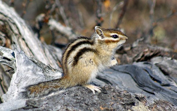 Самая красивая Страна фотоконкурс