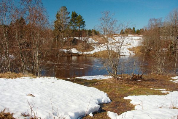 Ранняя Весна 1956