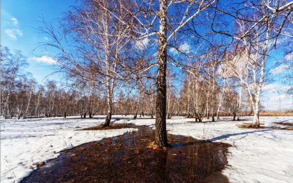 Ранняя Весна в Сибири
