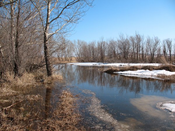 Весенняя река