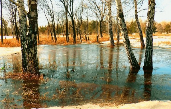 Ранняя Весна