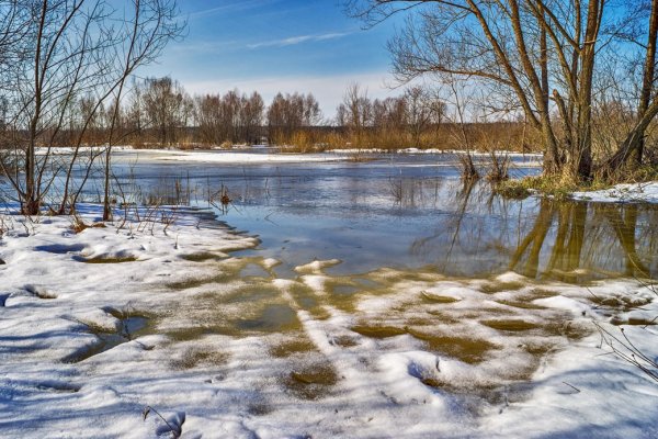 Астрахань природа апрель