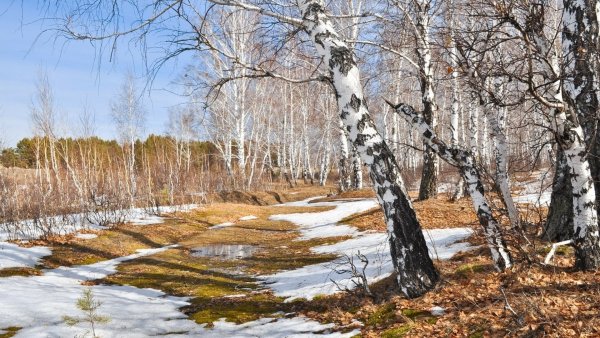 Весенний пейзаж
