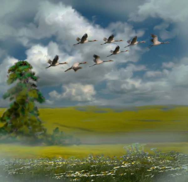 Живопись птицы улетают