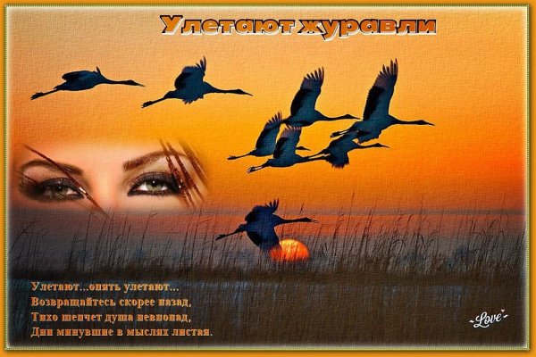 Храм природа Клин журавлей