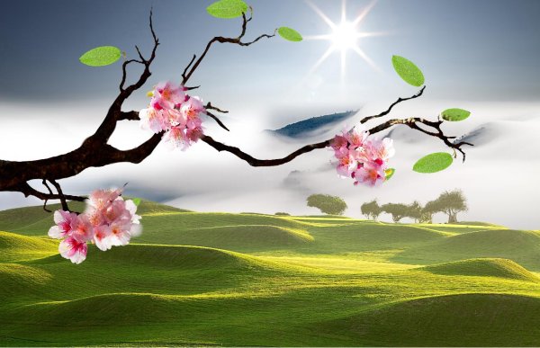 Сакура пейзаж