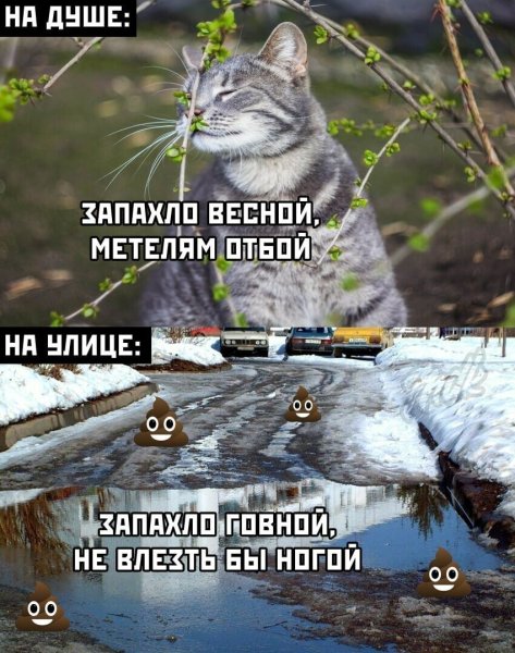 Запахи весны юмор