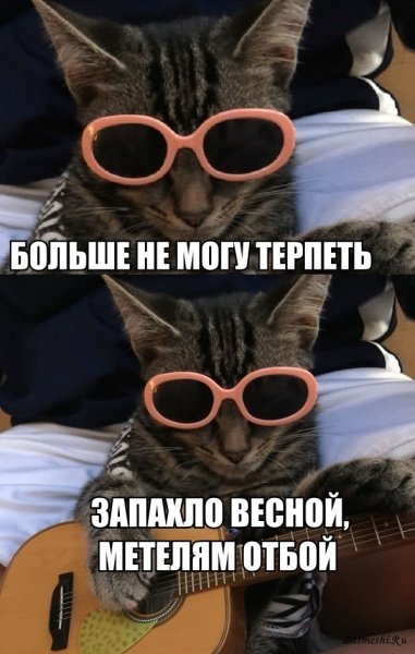 Скоро Весна