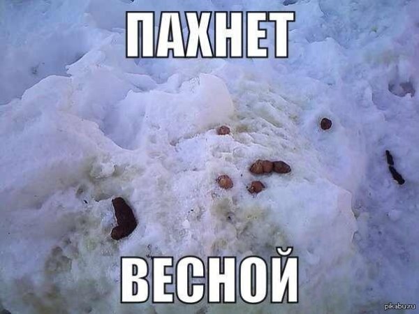 Весной пахнет смешные