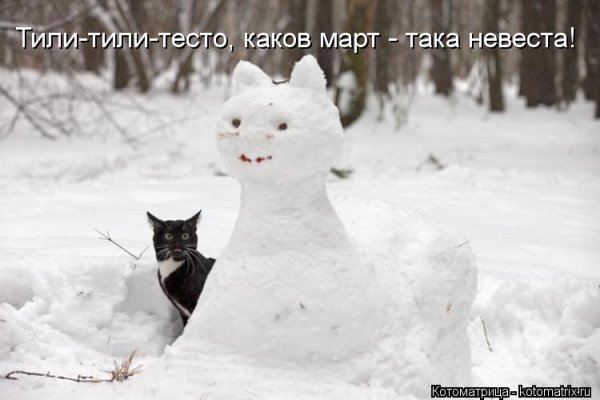 Зима вернулась