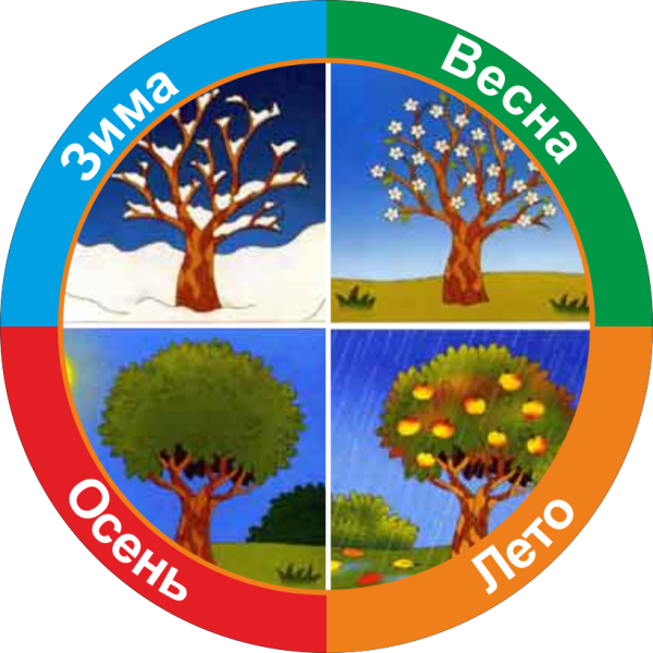 4 Сезона года