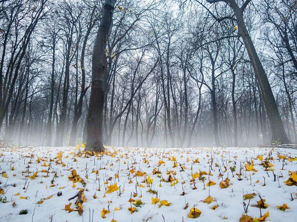 Зима и лето на одном фото