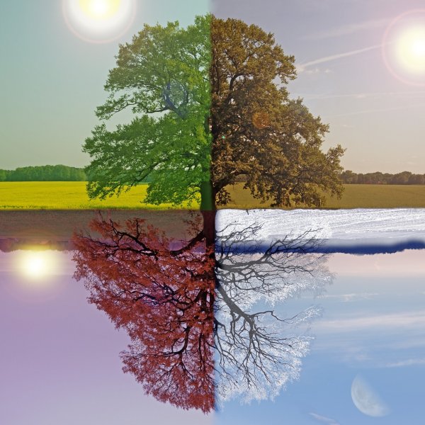 Пейзаж в Разное время года