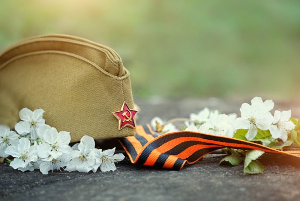 Георгиевская лента на дереве