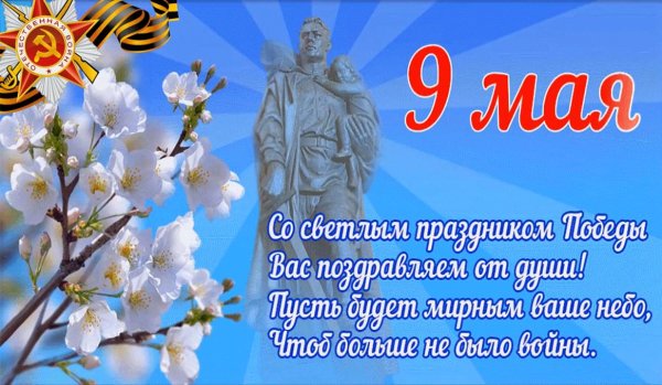 Тюльпан «с днём Победы !» Селекционер