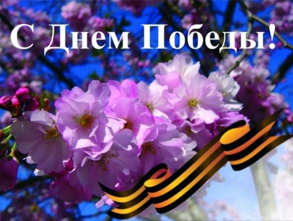 Май сирень победа