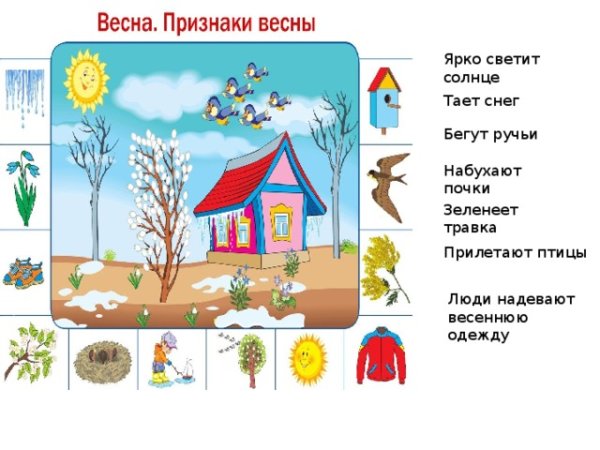 Весенние признаки для детей