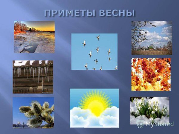 Приметы весны для дошкольников