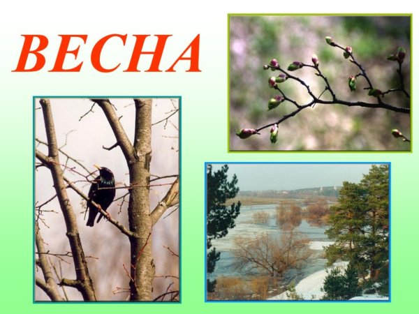 Весенние приметы для дошкольников