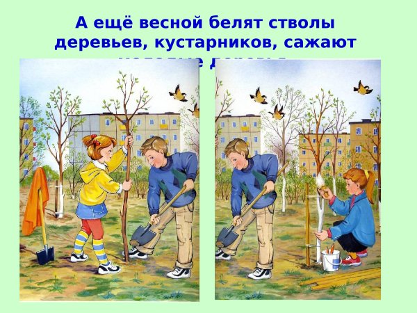 Весенние изменения в природе