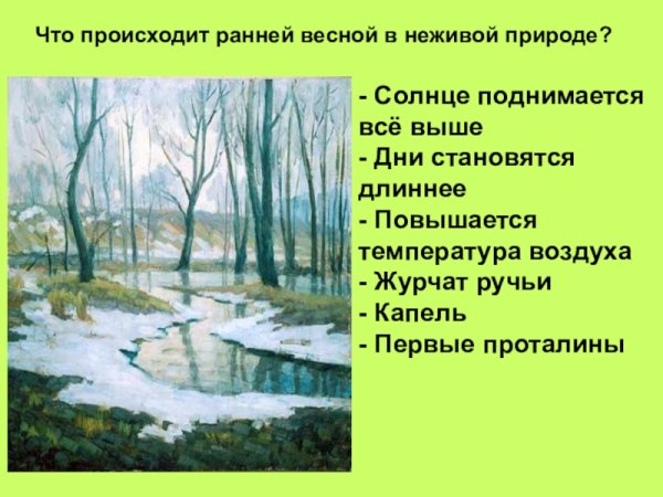 Растительный мир весной