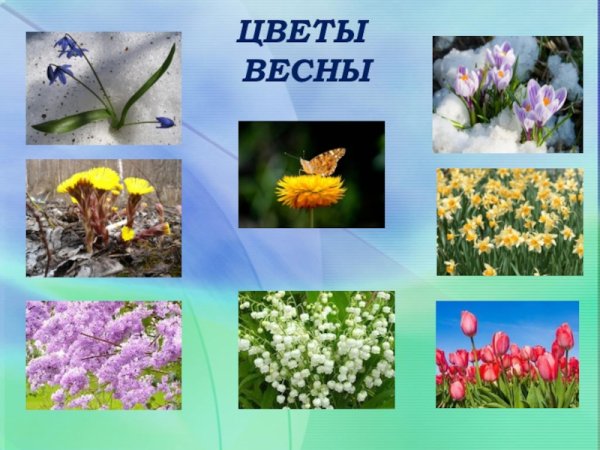 Рисование первых весенних цветов