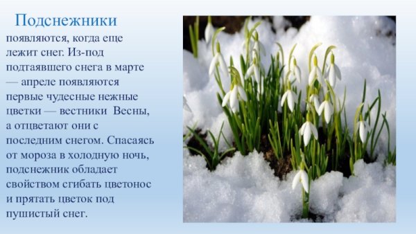 Презентация на тему Весна
