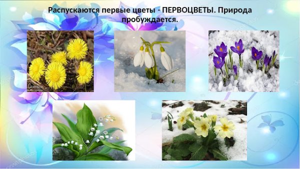 Весенние первоцветы для детей
