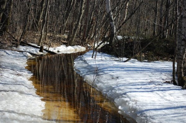 Весенние ручьи в городе