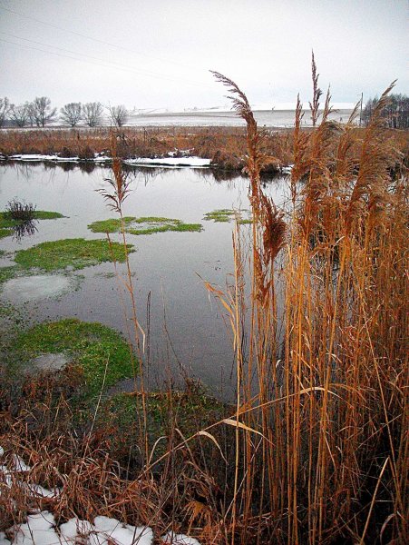 Девочка зима