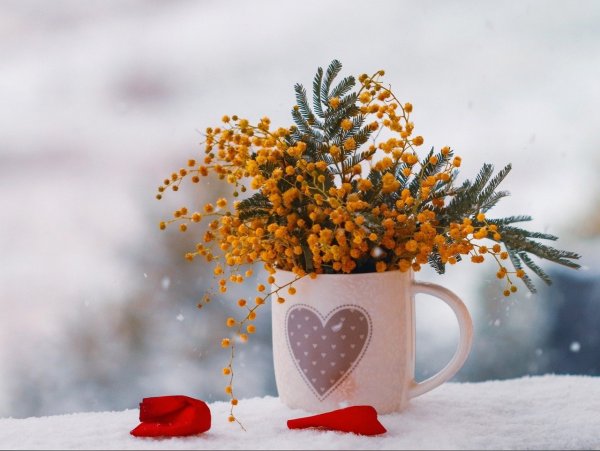 Доброе у РО С Подснежн ками