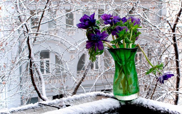 Тает снег скоро Весна