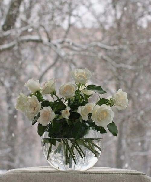 Февральский пейзаж