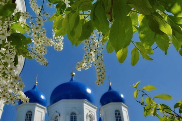 Церковь Весна