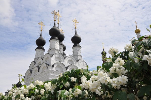 Дивеево монастырь цветы