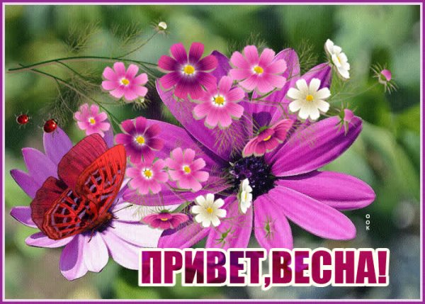 Привет Весна открытки
