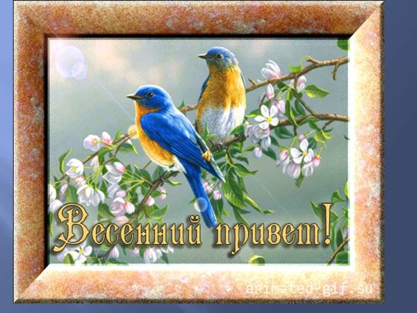 Весенний привет открытки