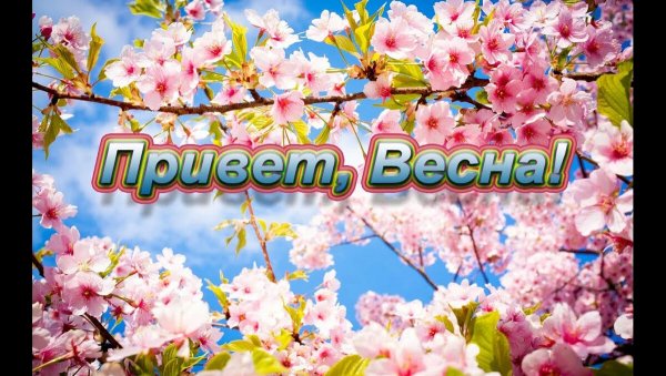 Весенний привет