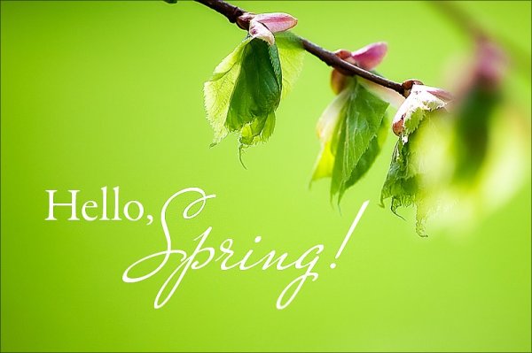 Весенние приветики