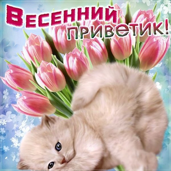 Прекрасного майского дня и отличного настроения