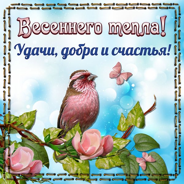 Весенний приветик